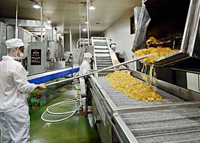  食品加工应用案例